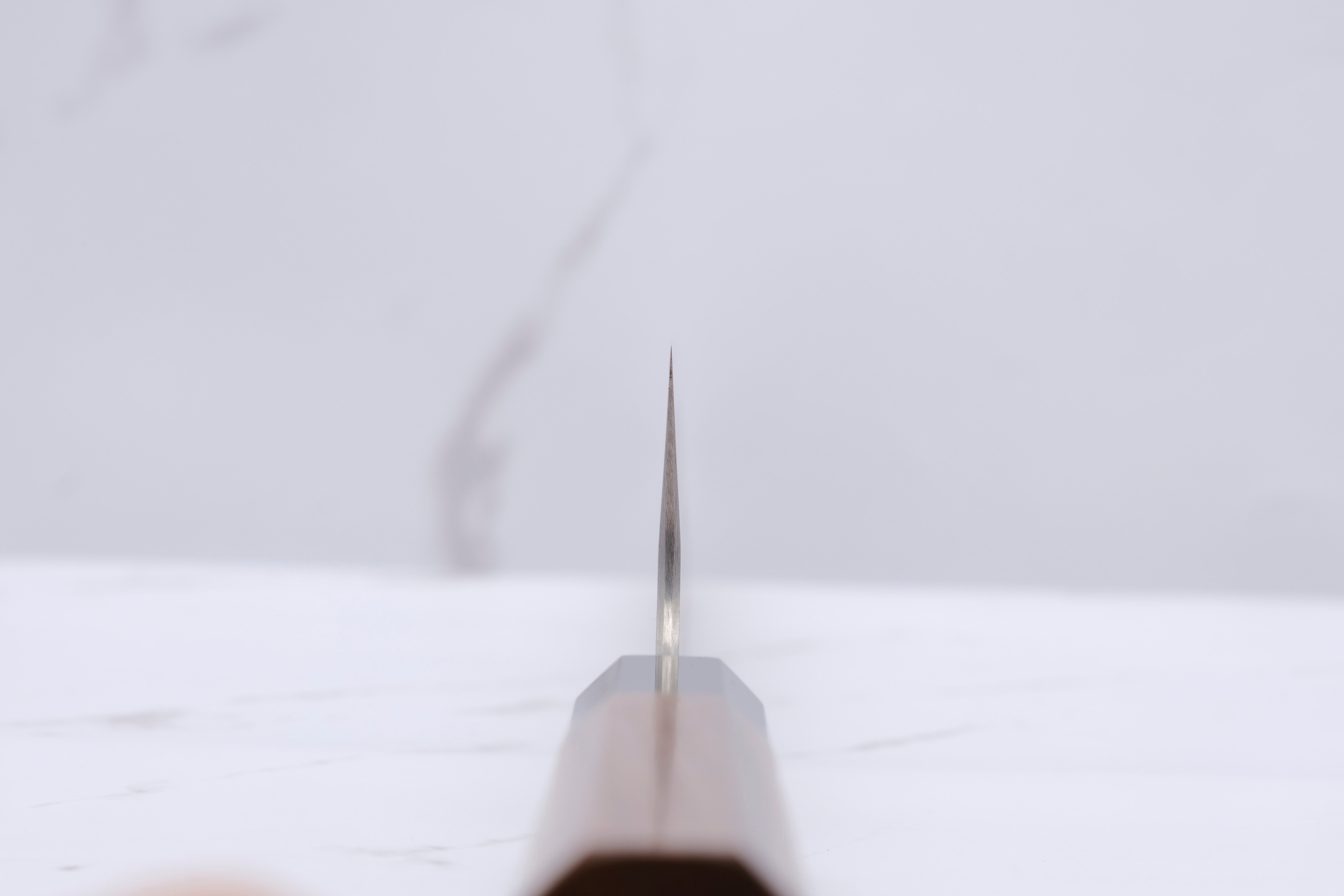 Nigara Hamono Gyuto 240 mm Aogami Super