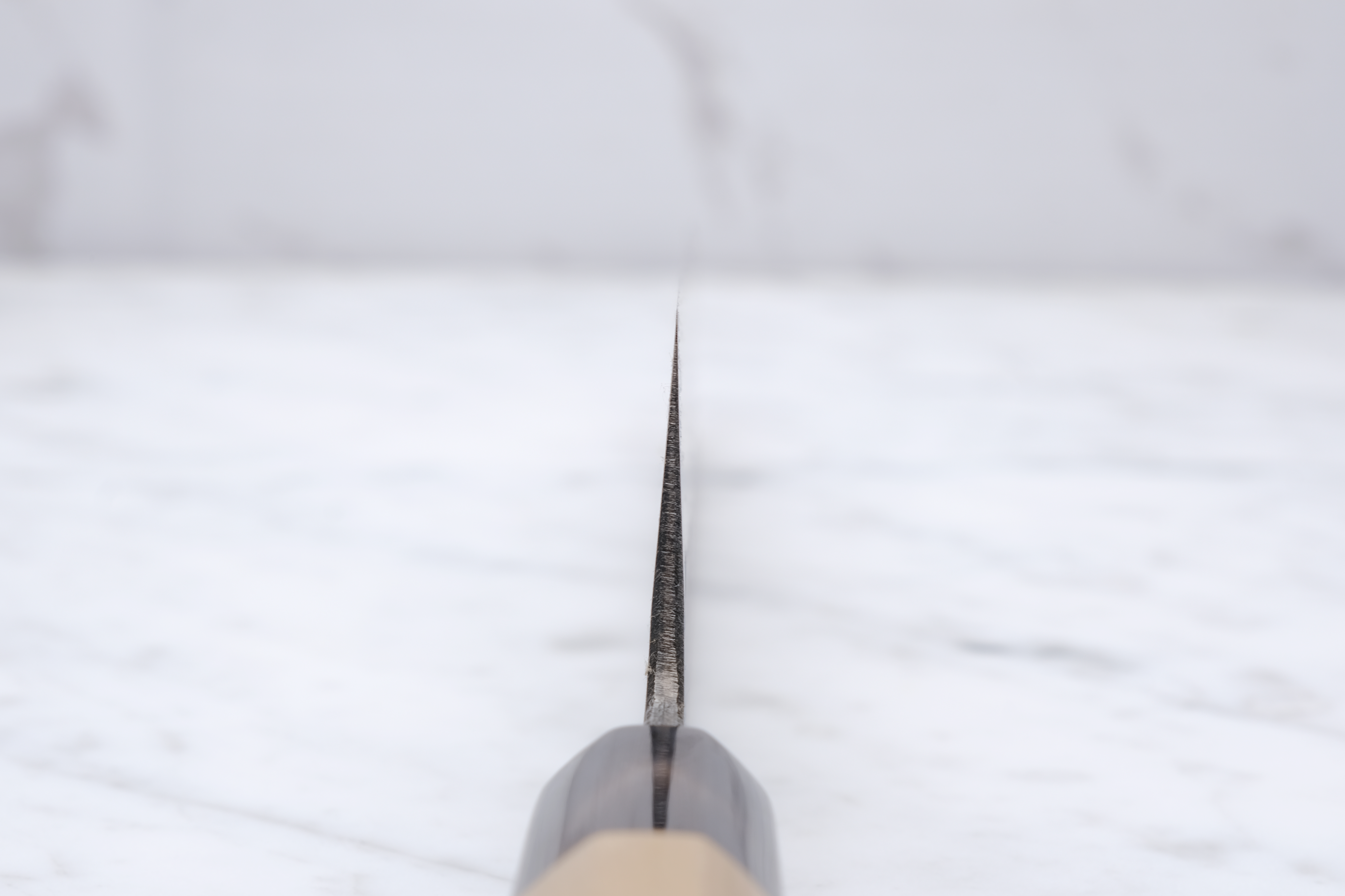 Sakai Kikumori Kikuzuki KU Weiß 2 Gyuto 240mm.