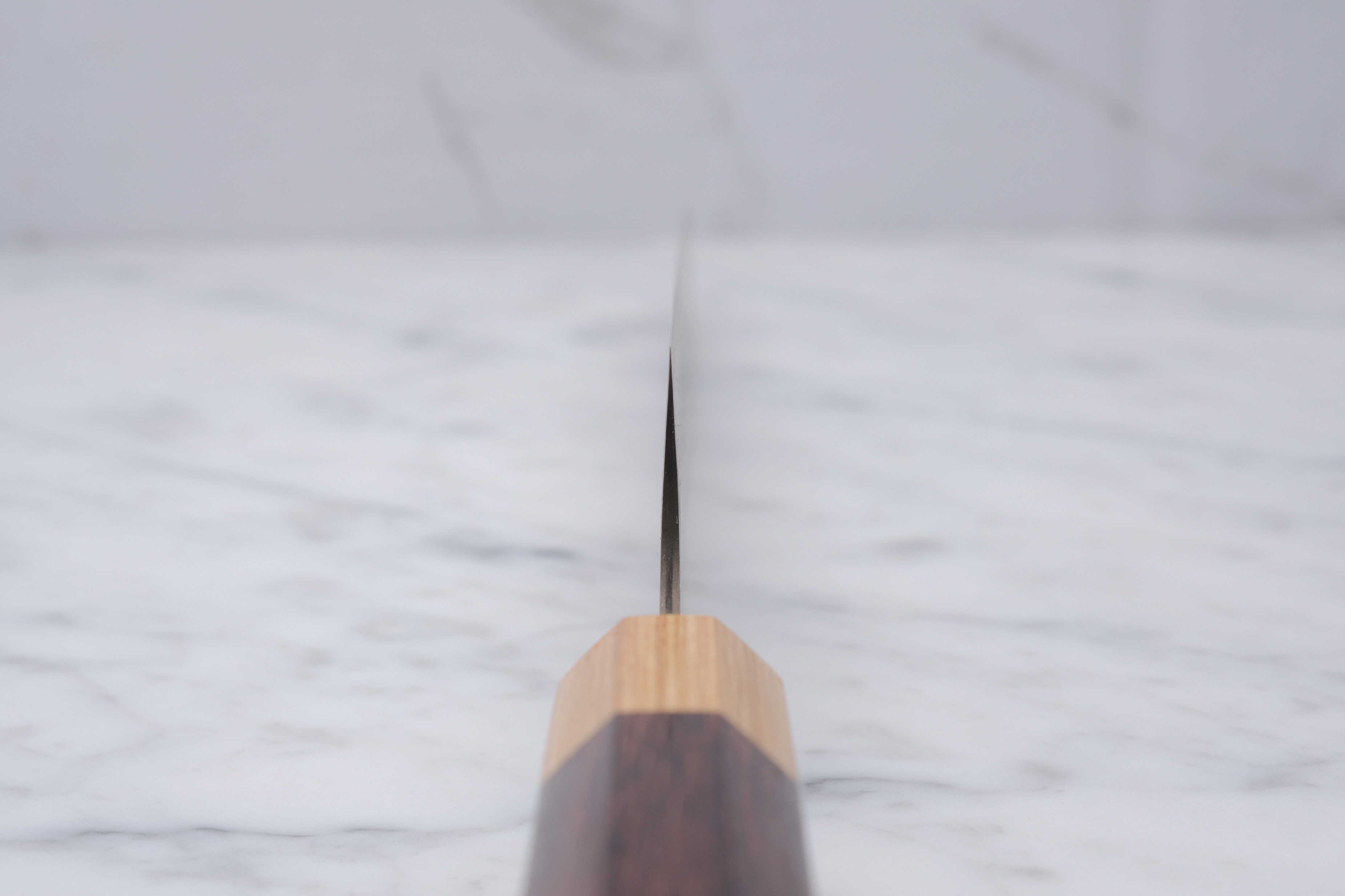 Takeshi Saji 270 mm Sujihiki VG-10 Gold
