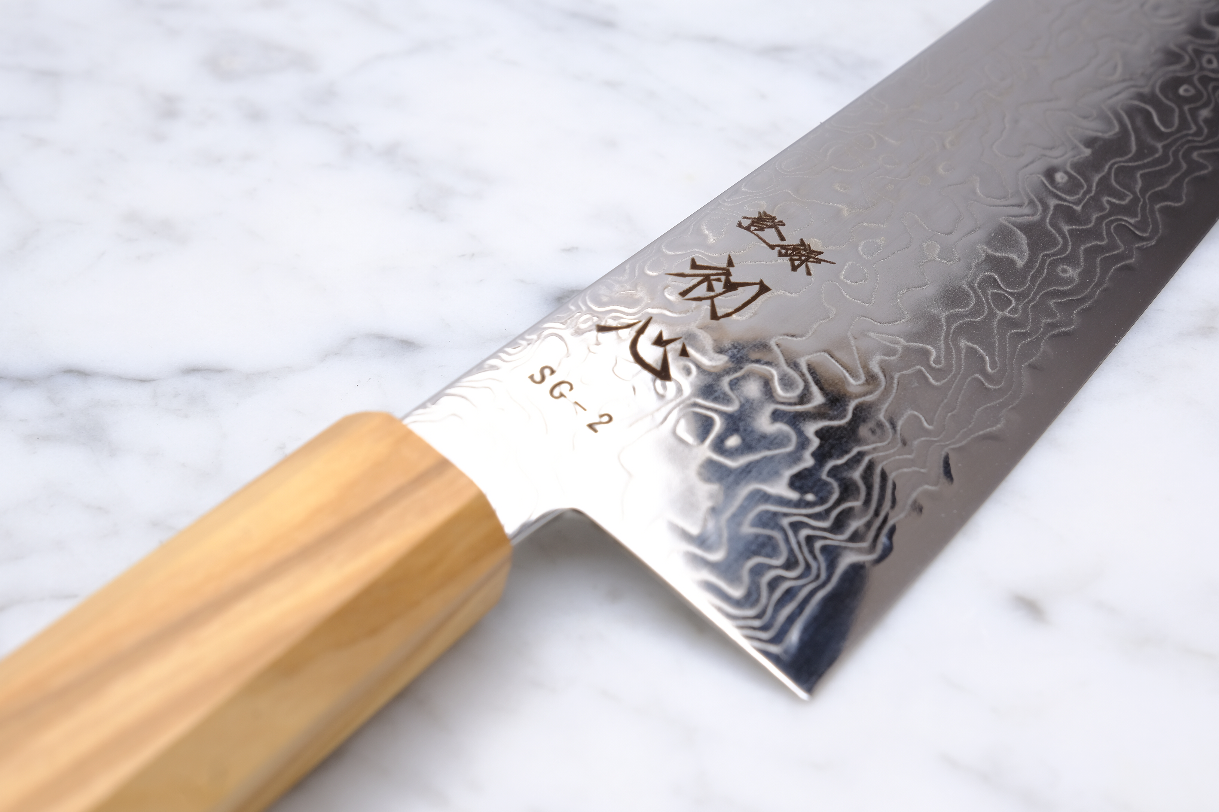 Hatsukokoro Ryuhyo SG2 - 210 mm Gyuto