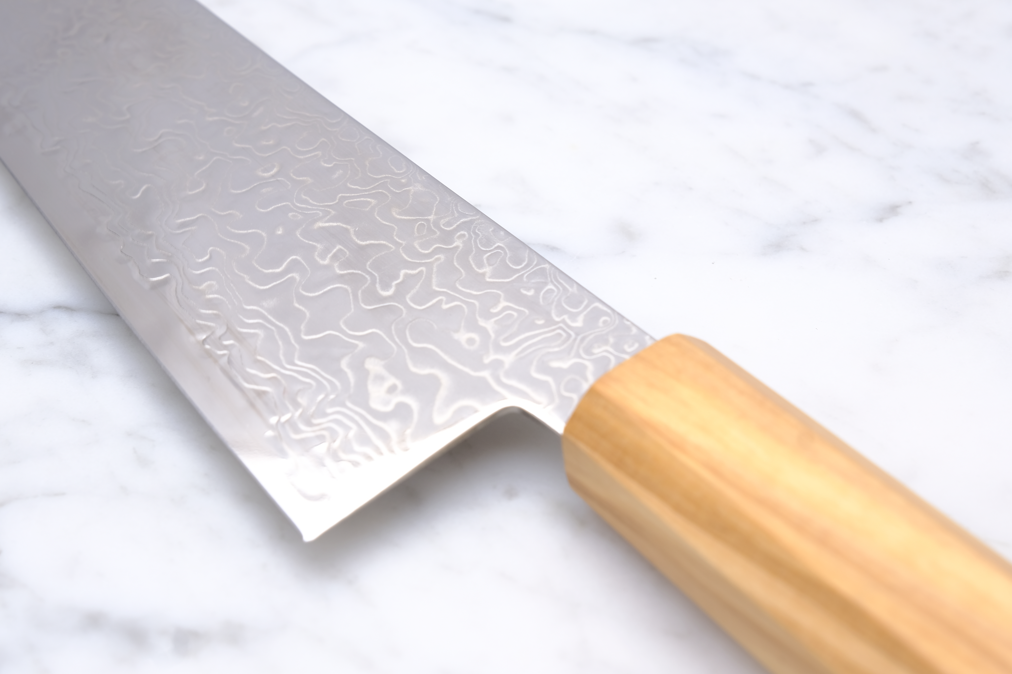 Hatsukokoro Ryuhyo SG2 - 210 mm Gyuto