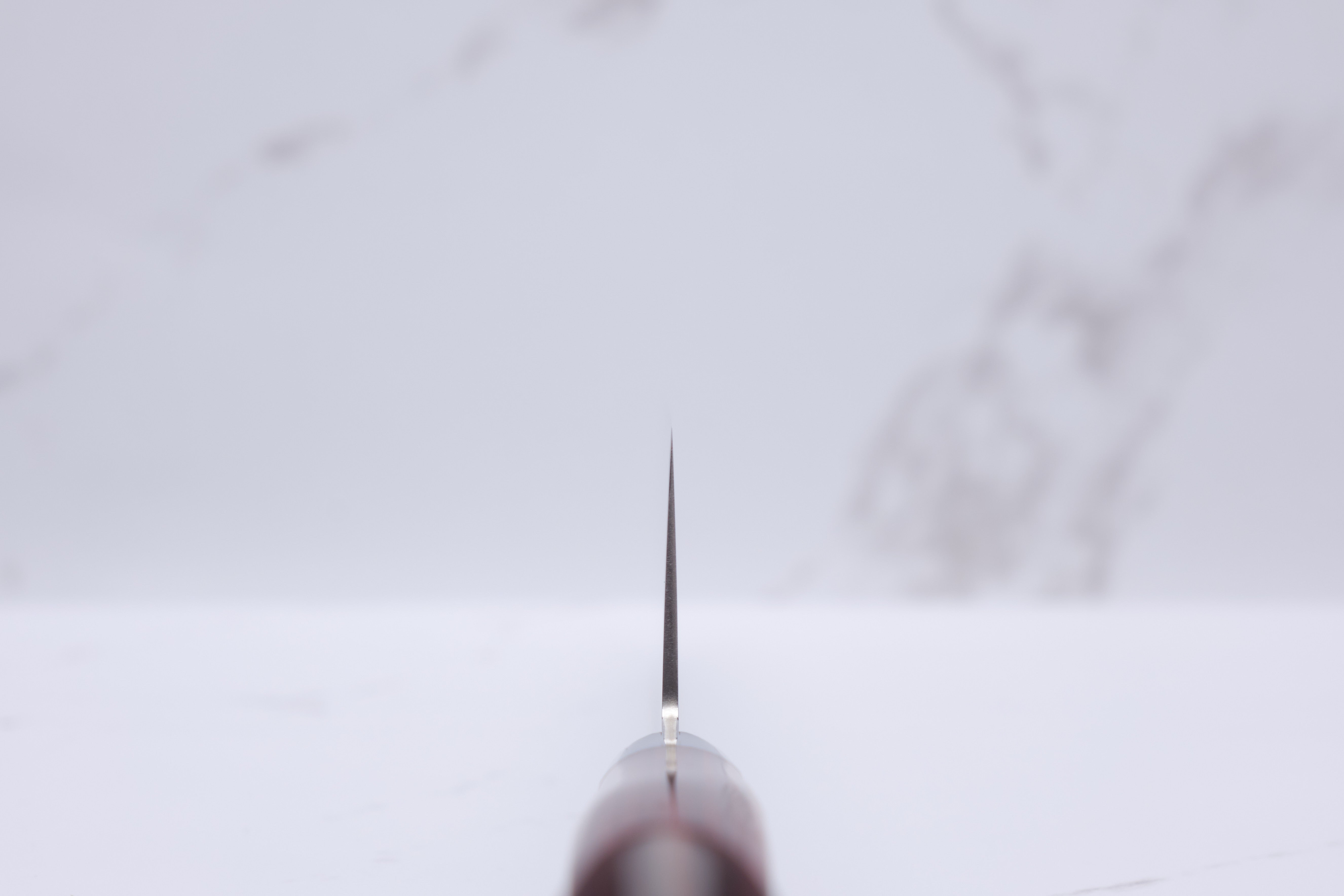 Takamura 170mm Santoku - SG2
