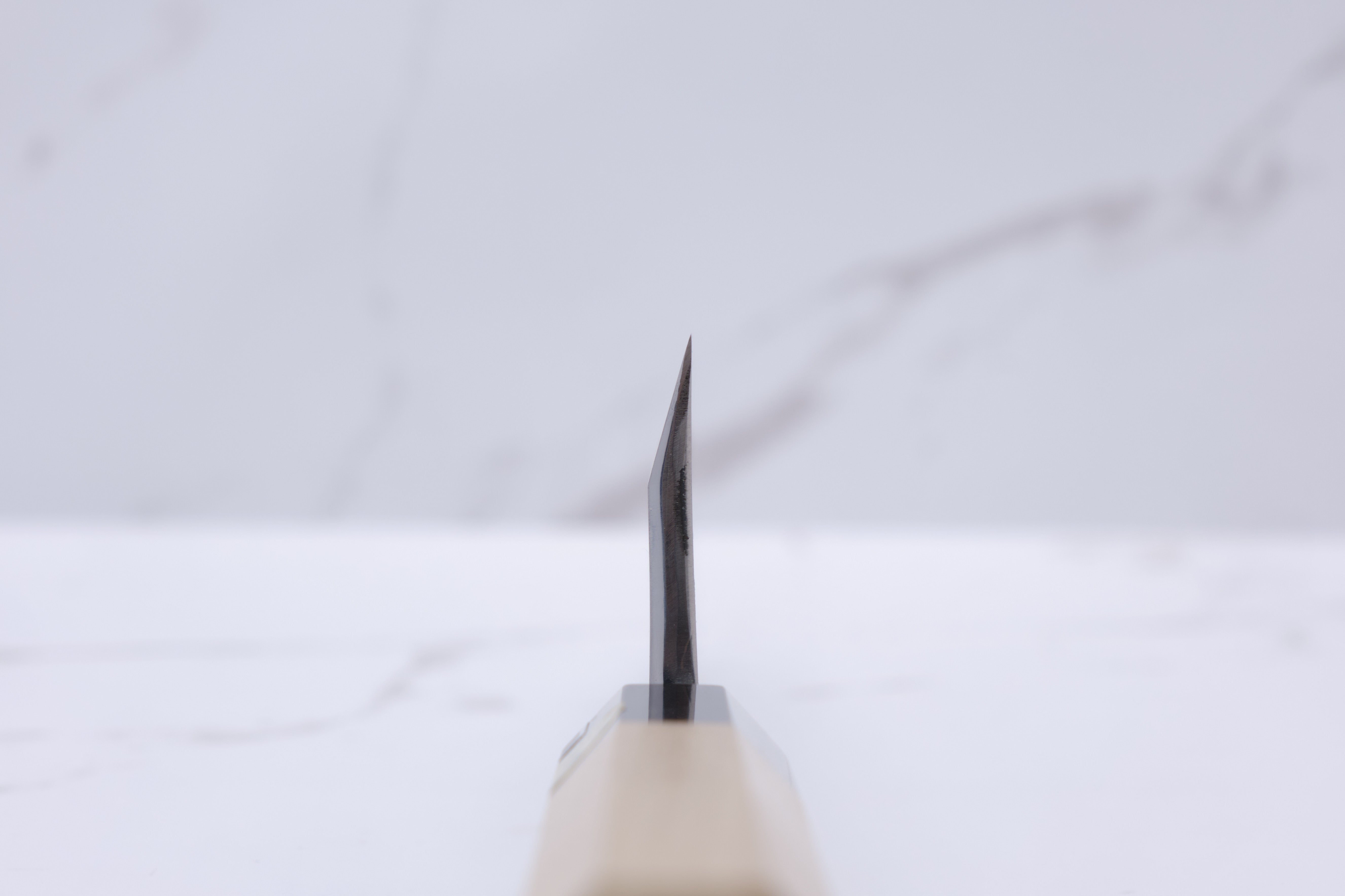 Sakai Kanechika Aogami-2 - 165 mm Deba
