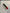 Higonokami Katana mit Stoffsaya