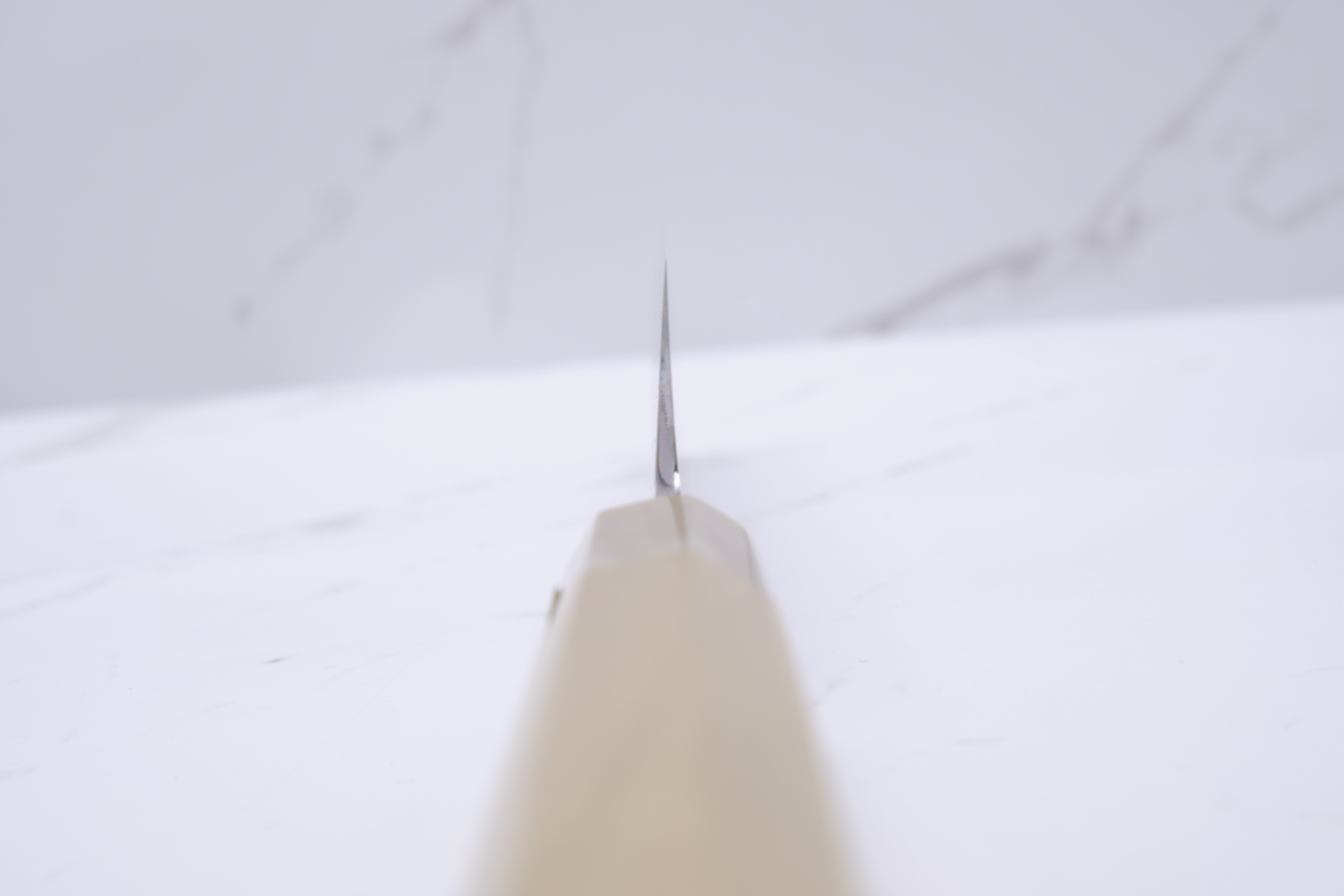 Shigehiro Kasahara 180mm Usuba White-2