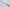 Konosuke WT Shirogami 2 Chestnut - 255mm Gyuto