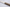 Perceval 9.47 Steakmesser
