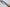 HADO Sumi Shou White #2 - 110mm Santoku