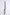 Nigara Kurozome SG2 -Walnuss - 270 mm Sakimaru Sujihiki