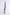 Nigara Kurozome SG2 Walnuss - 240 mm Gyuto