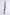 Nigara Kurozome SG2 270 mm Gyuto Walnuss