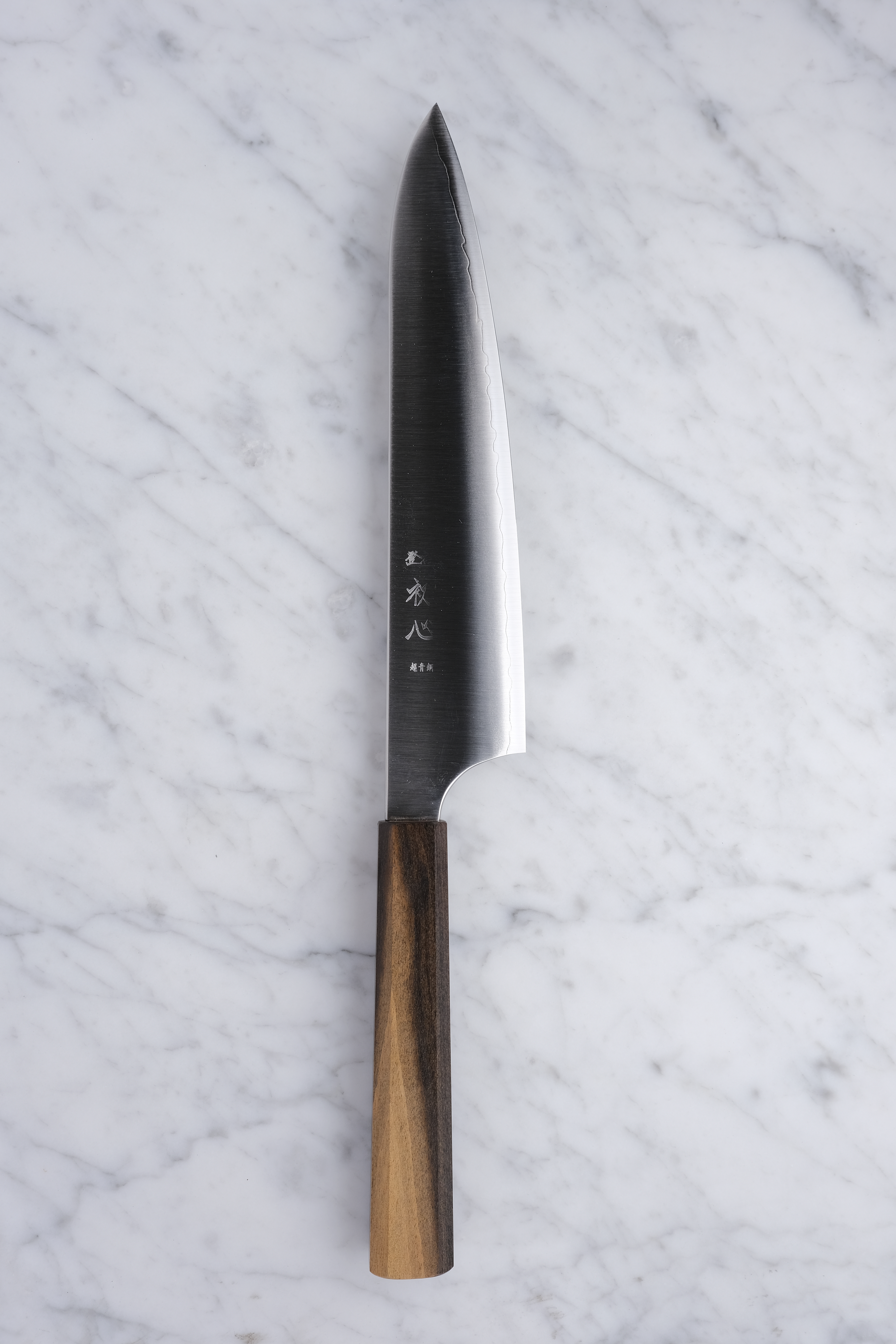 Hatsukokoro Hayabusa Aogami Super - 210 mm Kochmesser