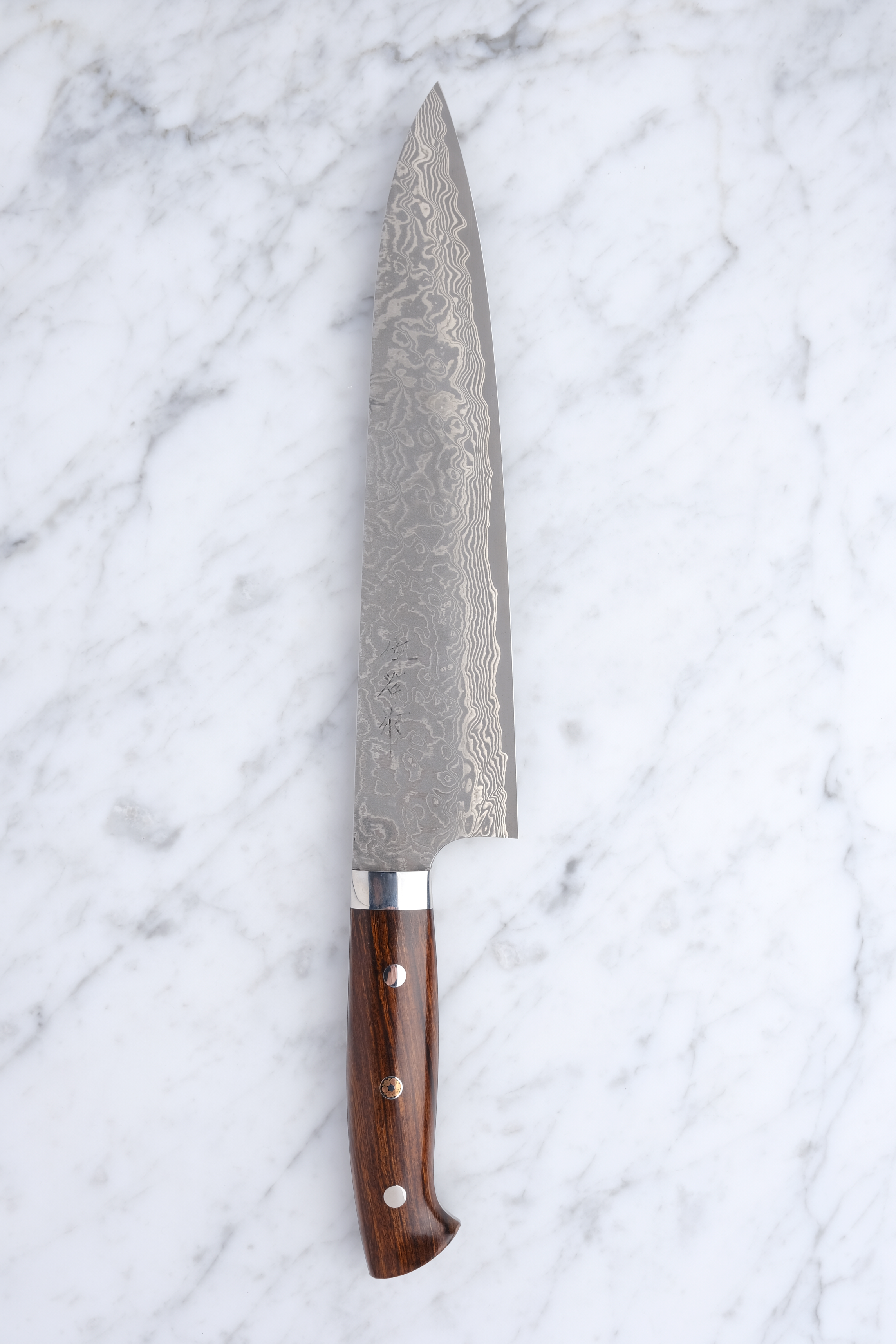 Takeshi Saji 240 mm Gyuto SG2 – Westliches Eisenholz