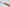 Perceval 8.88 Steakmesser aus Eichenweinfass
