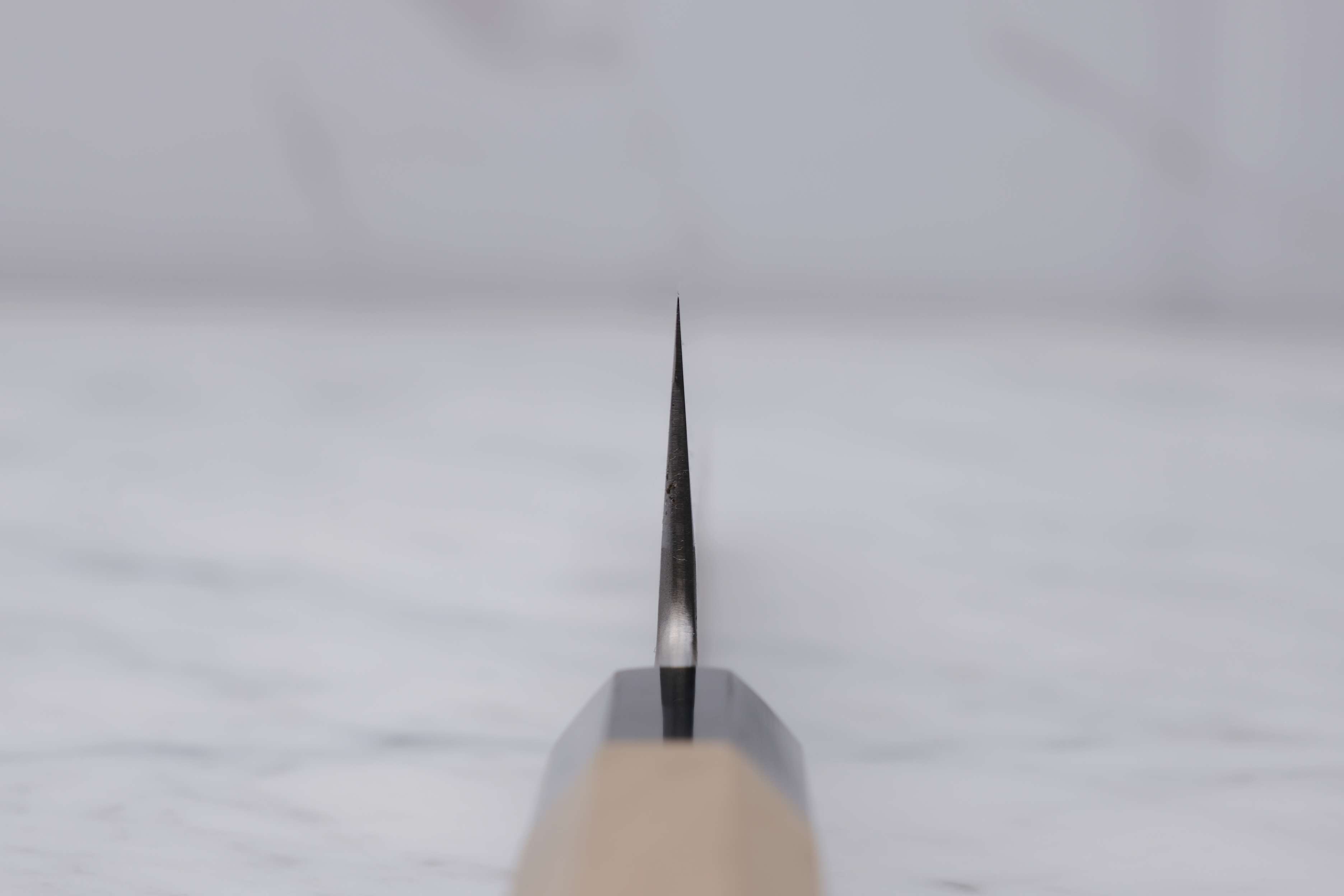 Sakai Kikumori Kikuzuki RIN Shirogami #2 - 210 mm Kiritsuke Gyuto