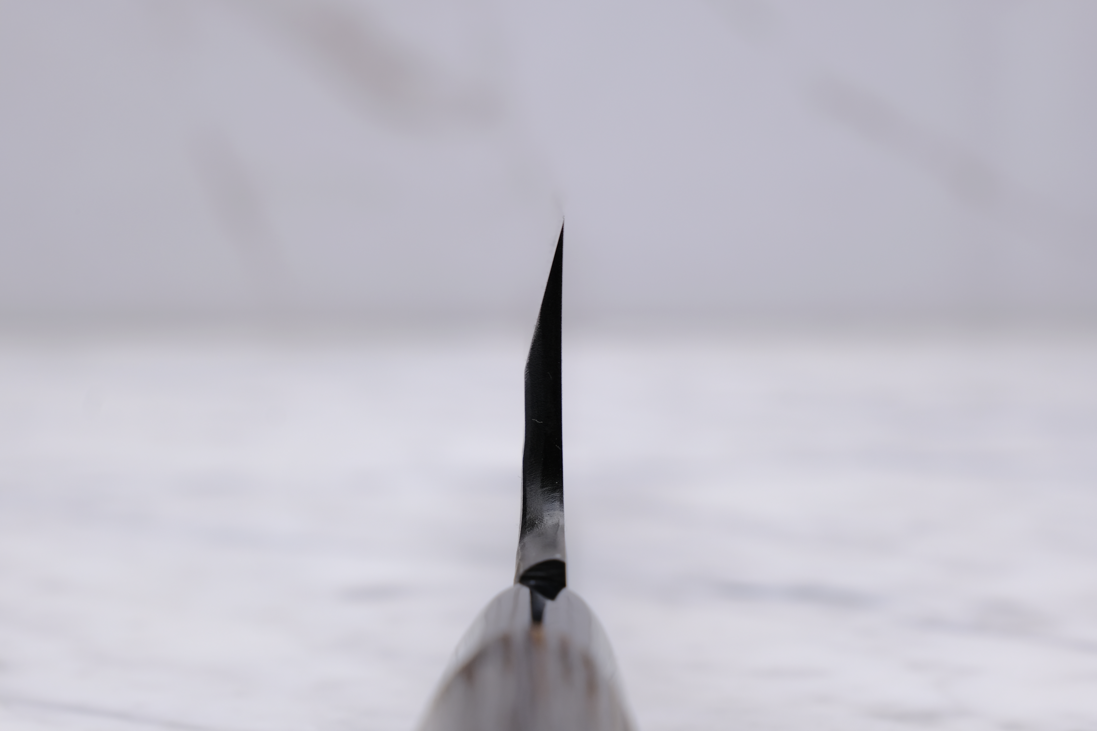 Yamatani Kurouchi Tsuchime 195mm Mioroshi Deba - Shirogami 2