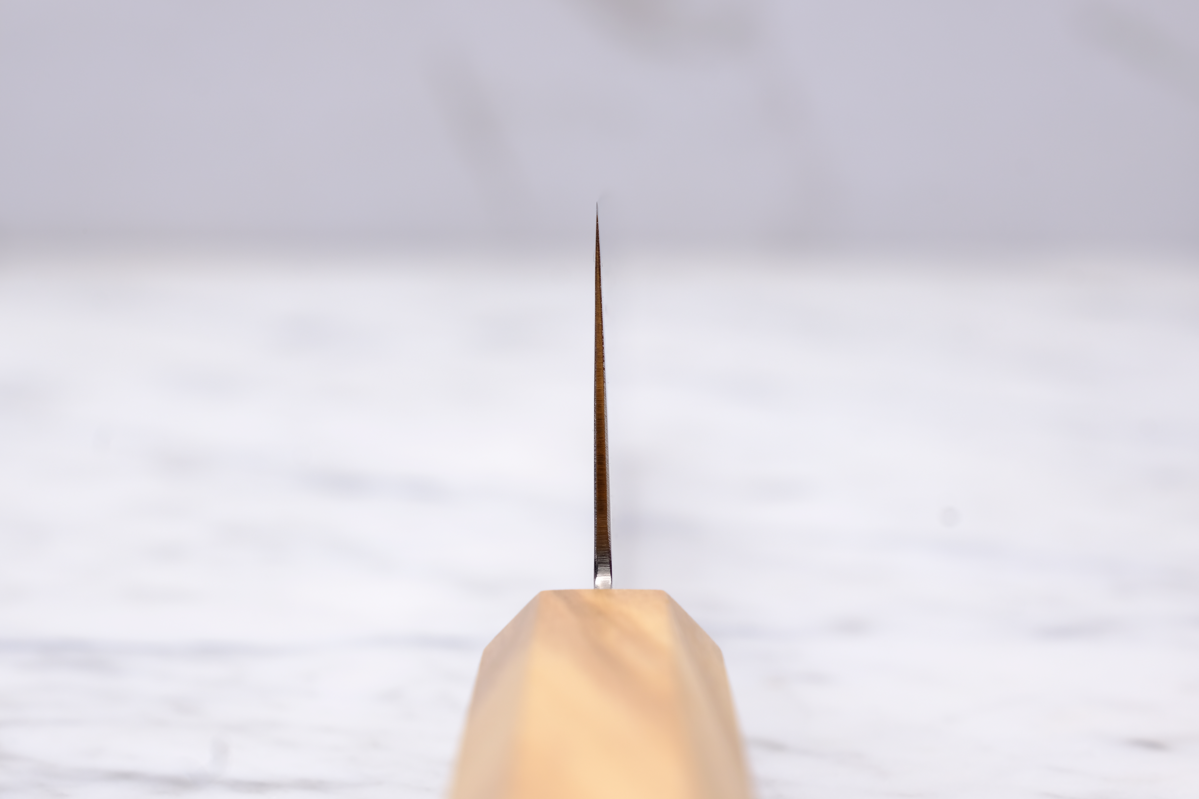 Hatsukokoro Ryuhyo SG2 - 210 mm Gyuto