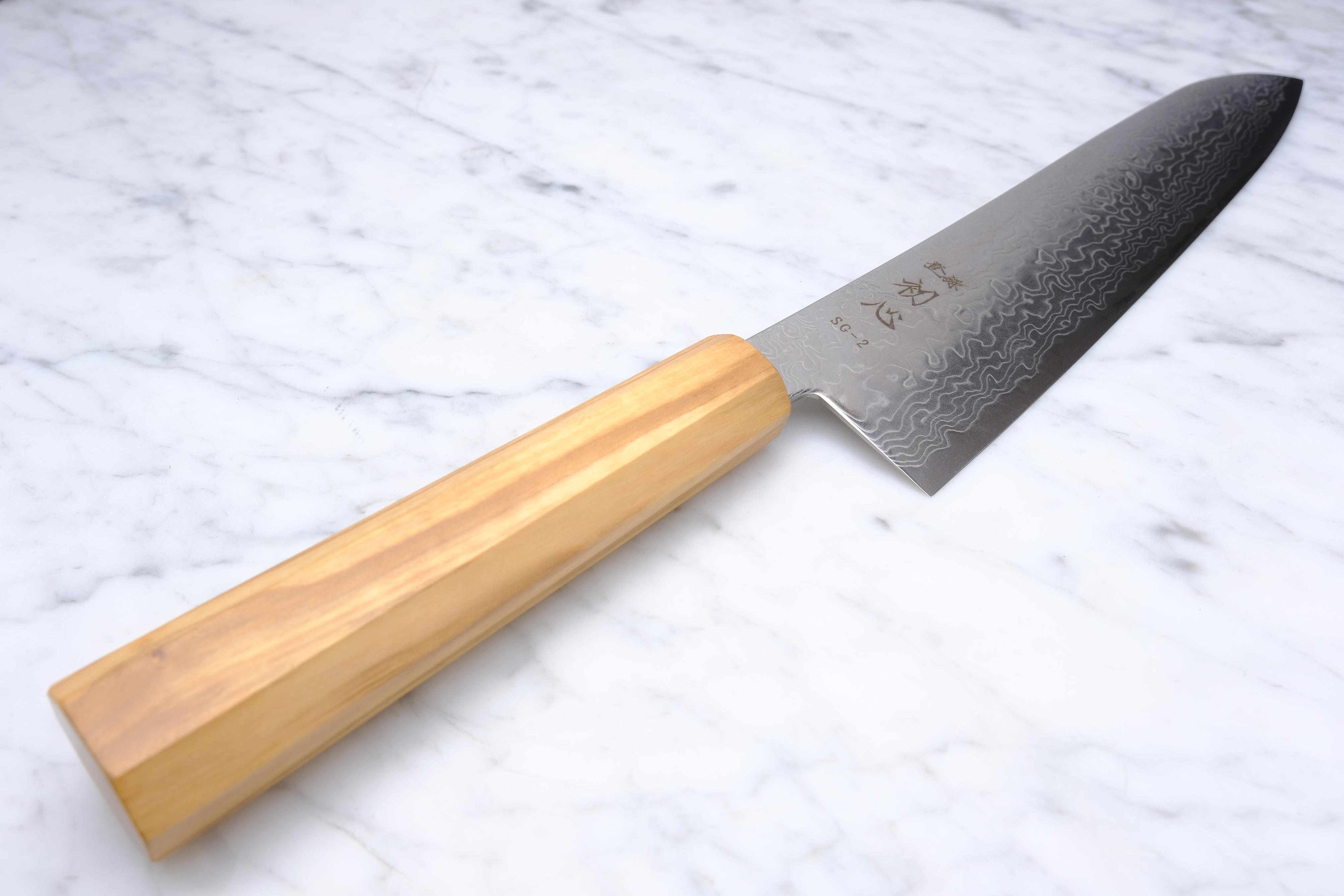 Hatsukokoro Ryuhyo SG2 - 240 mm Gyuto