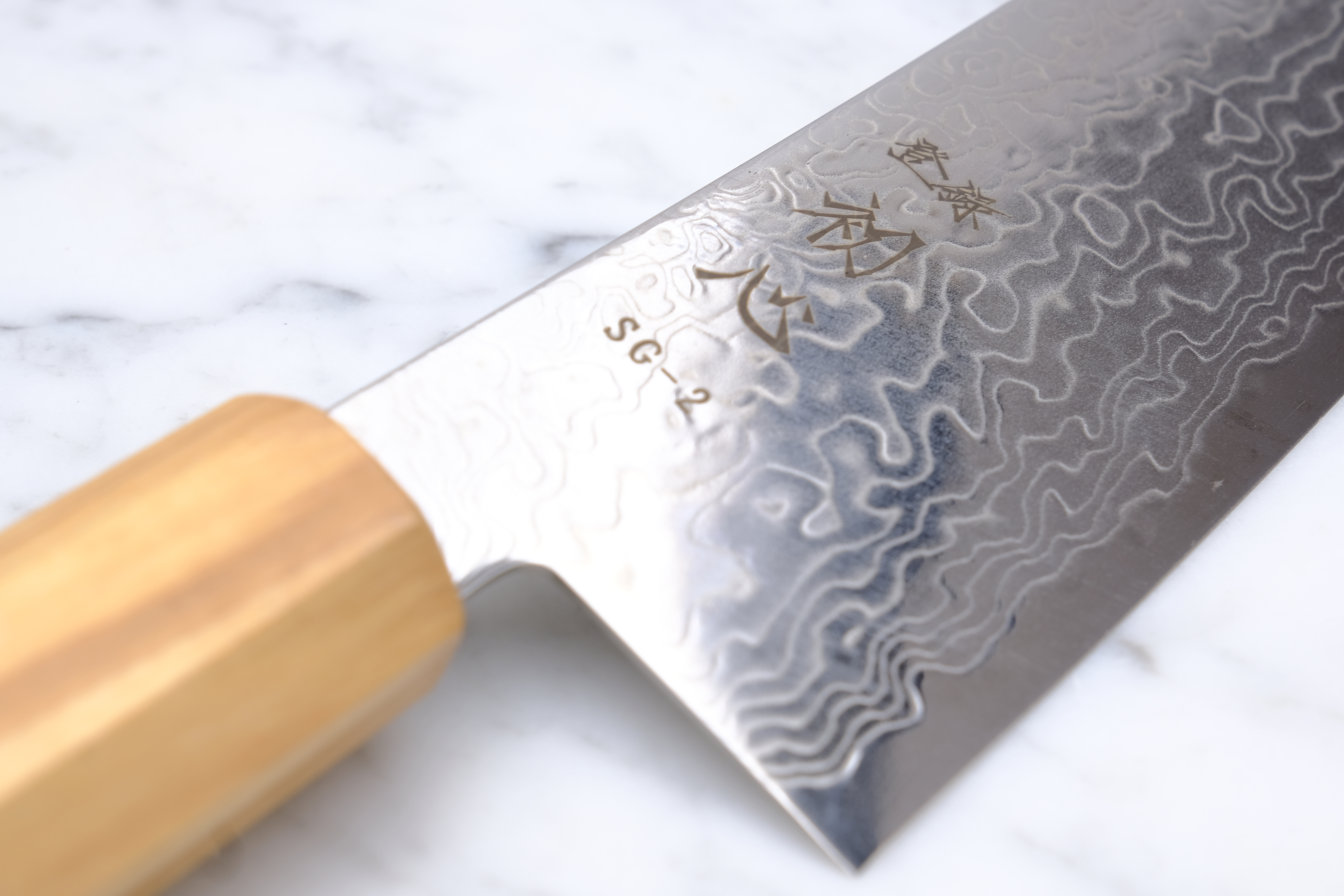 Hatsukokoro Ryuhyo SG2 - 240 mm Gyuto