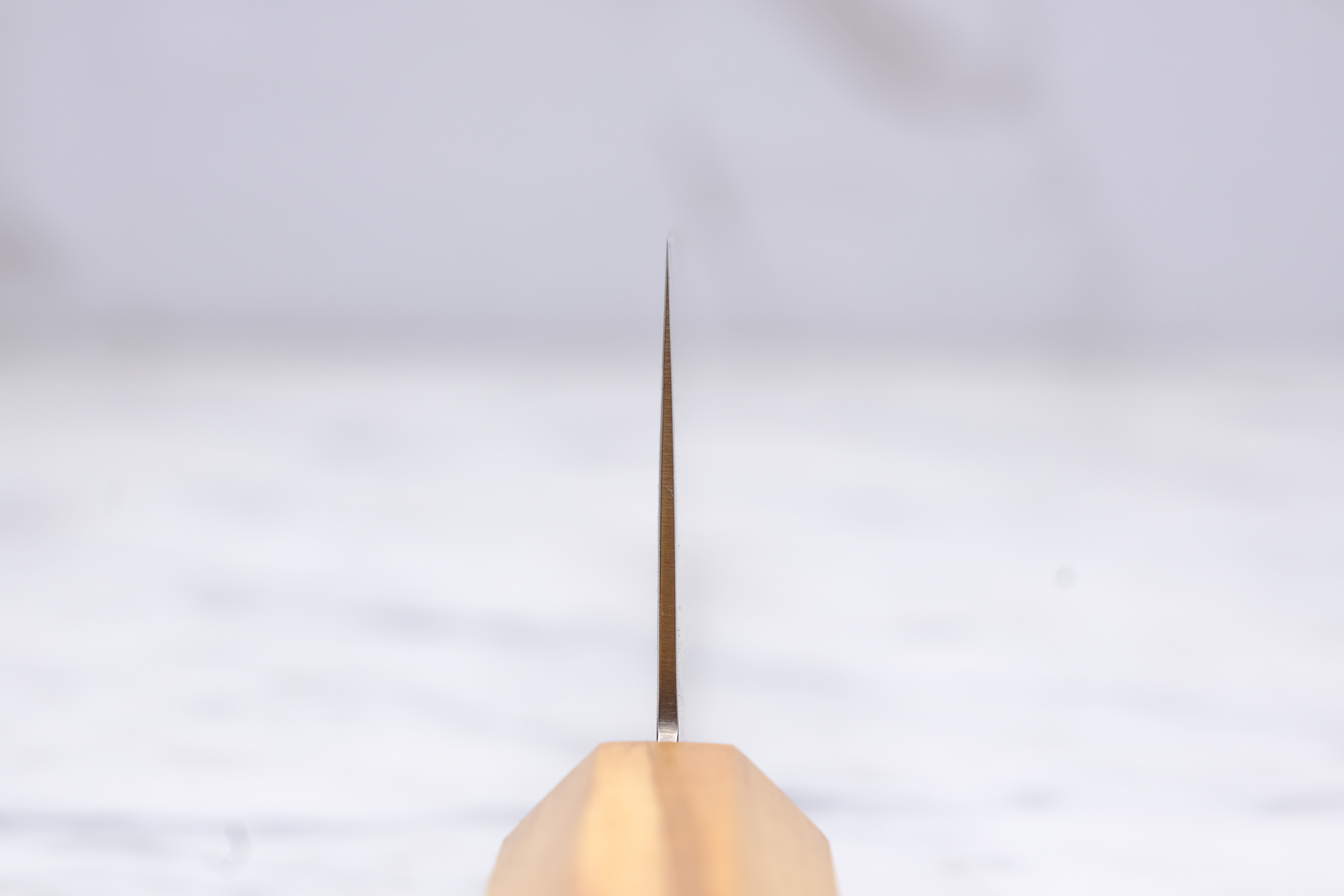 Hatsukokoro Ryuhyo SG2 - 240 mm Gyuto