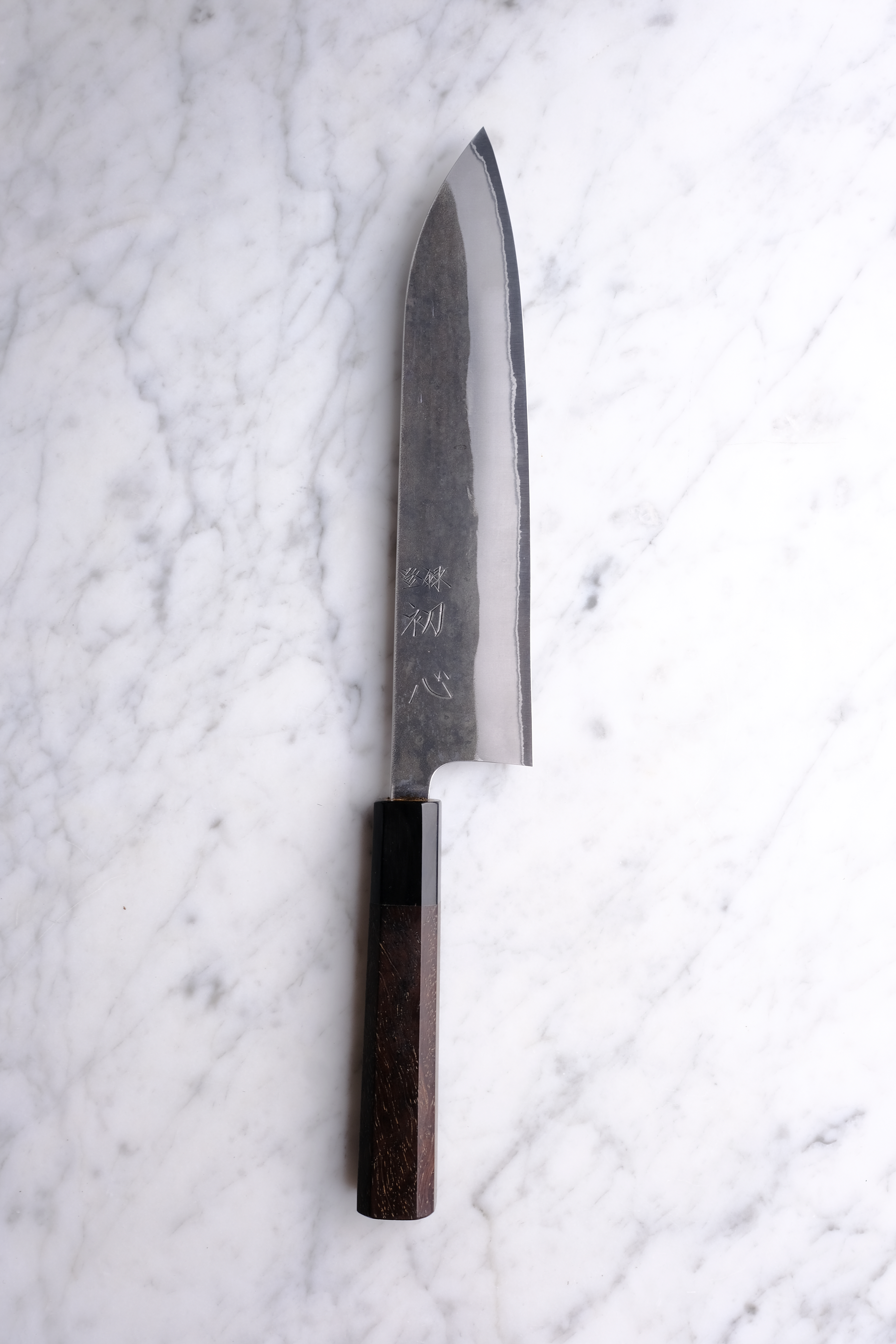 Hatsukokoro Kurokaze 210mm Gyuto - Shirogami #2
