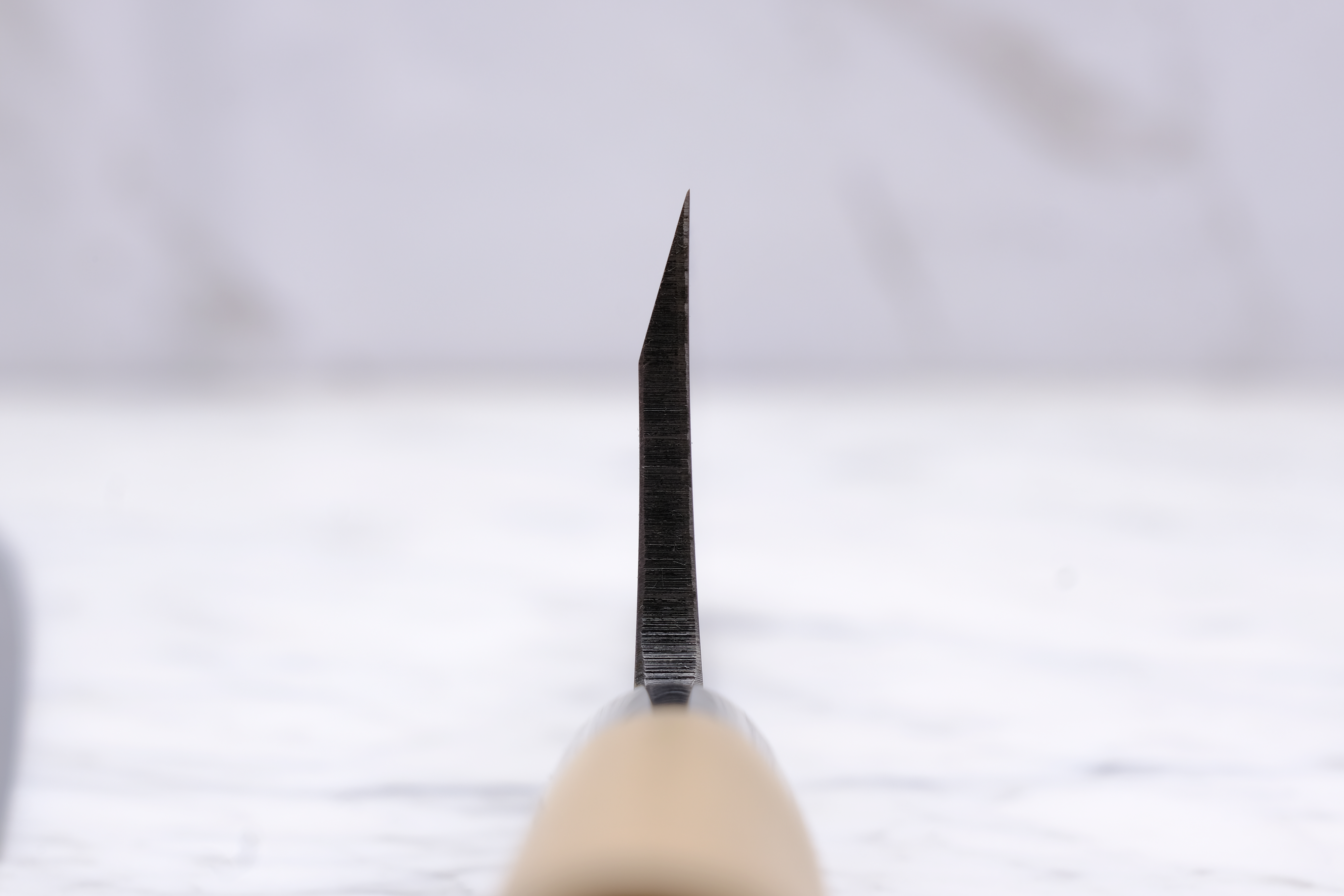 Masamoto Sohonten KS Shirogami 2 - 180 mm Deba