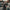 Video alt text