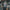 Video alt text