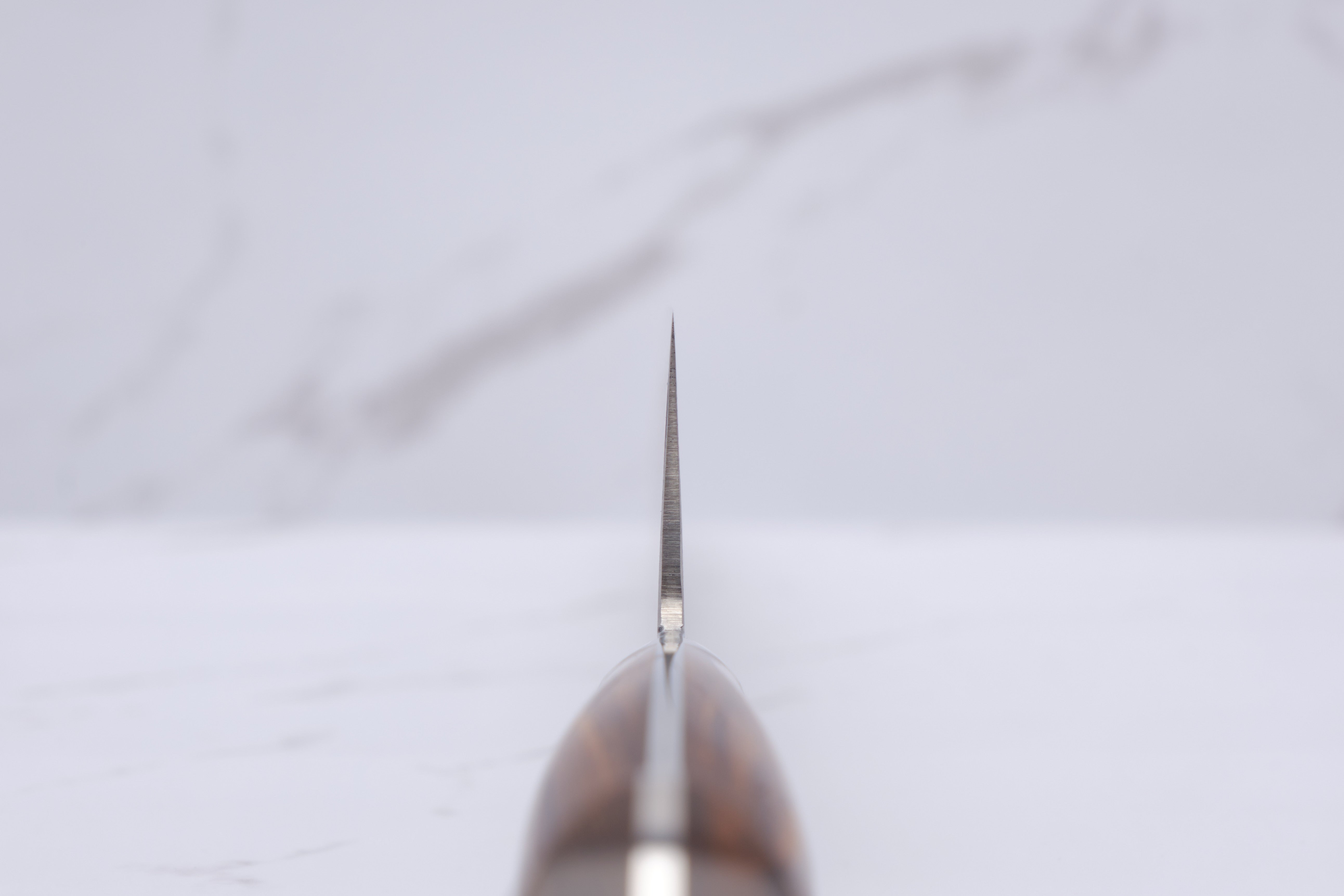 Shigeki Tanaka 240mm Chef's Knife R2 - Ironwood
