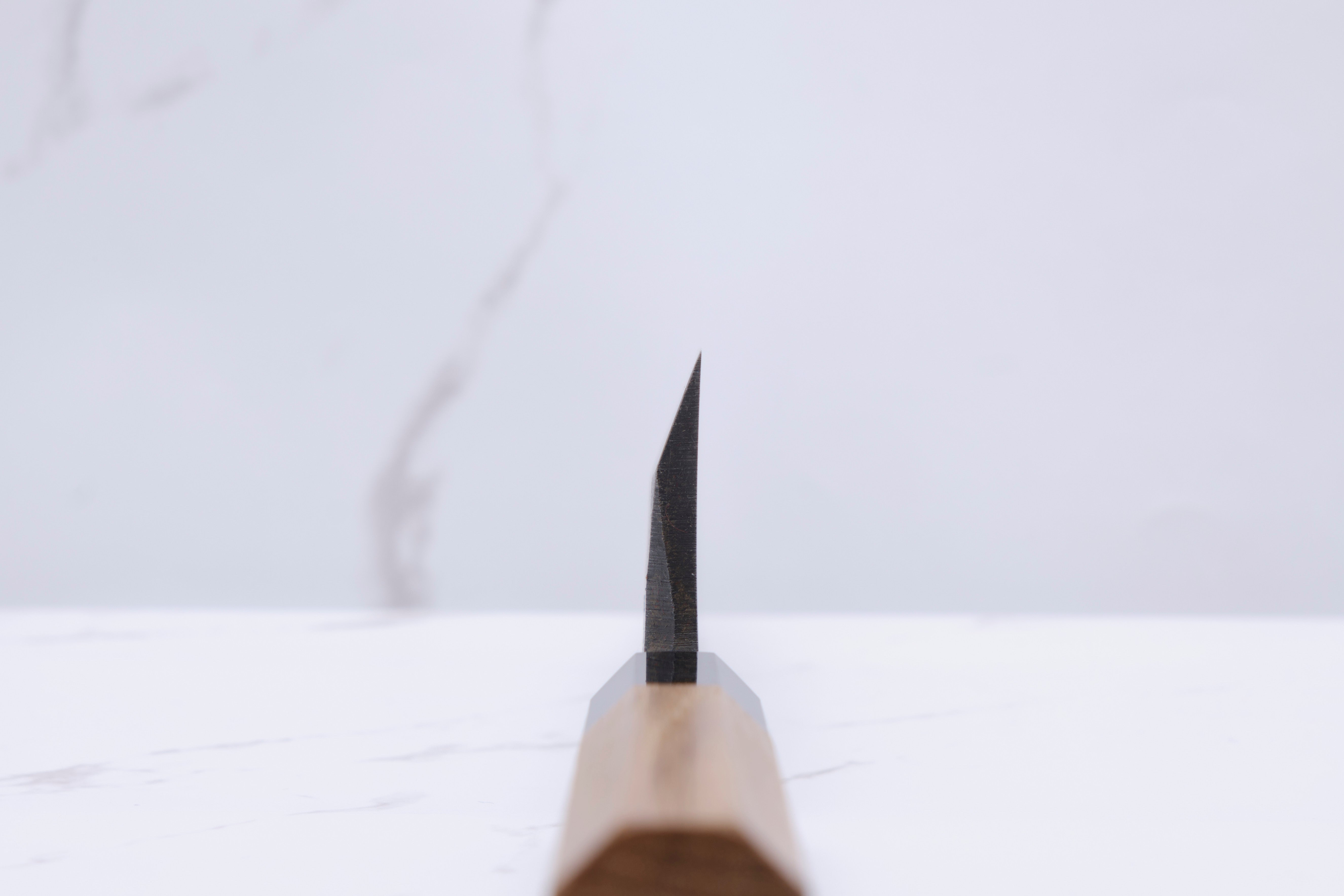 Hatsukokoro Shiragasi 165mm Kiritsuke Deba Aogami-2