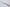 Shun Classic White – Santoku 180 mm