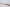 Shun Classic White – 150 mm Universalmesser