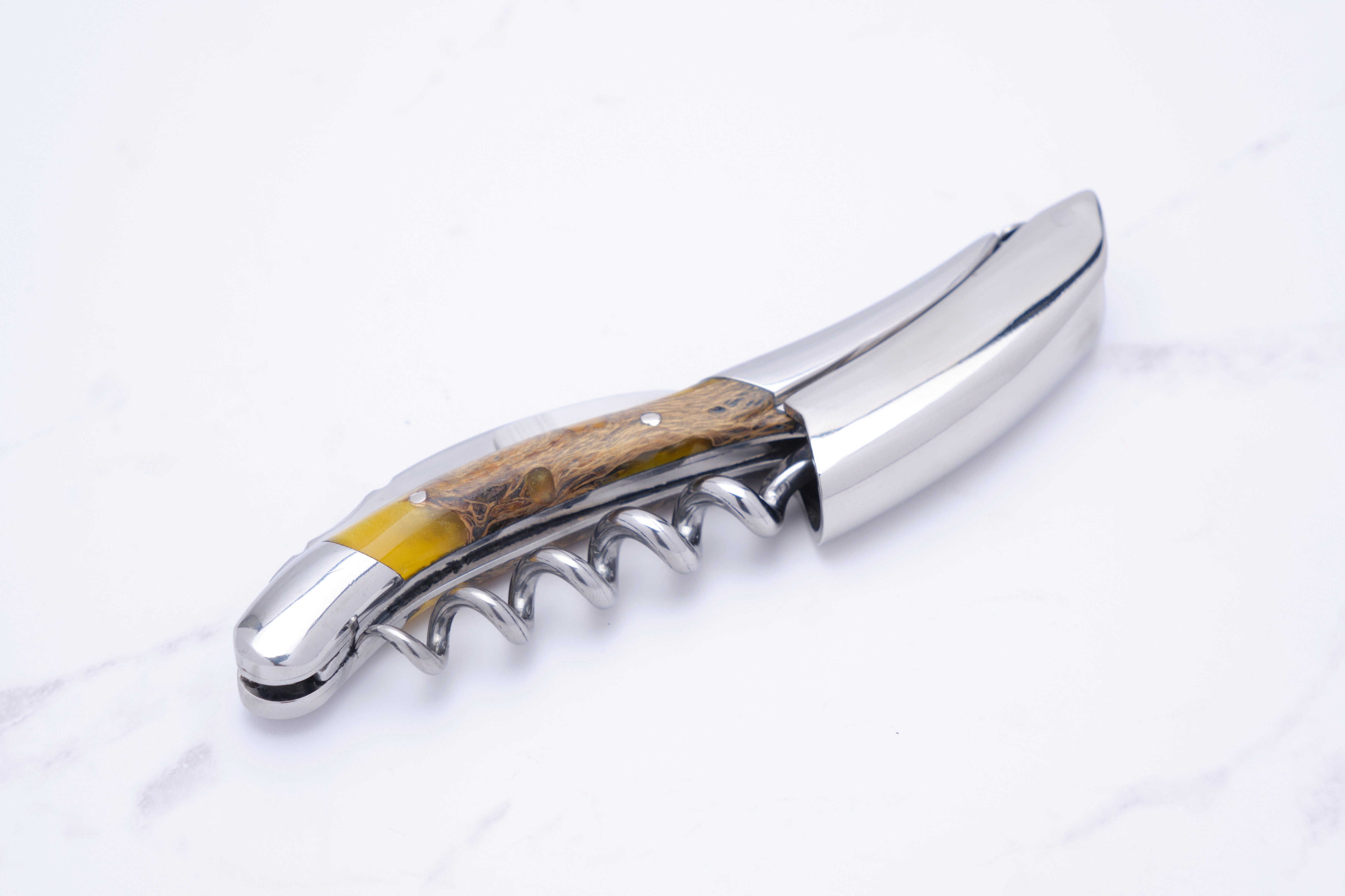 Korkenzieher - Stabilisierter Kaktus