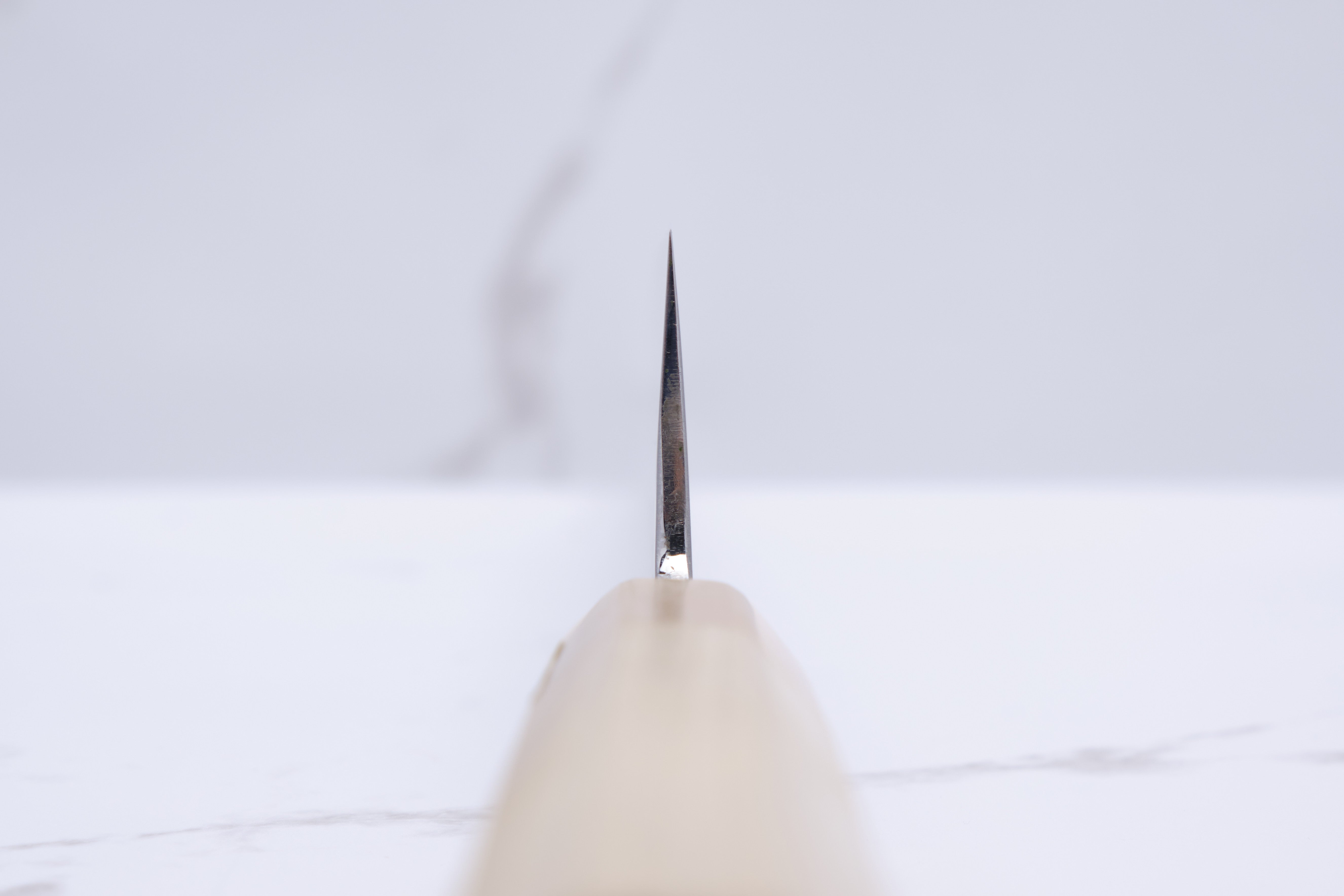 Shigehiro Kasahara 240mm Gyuto White-2