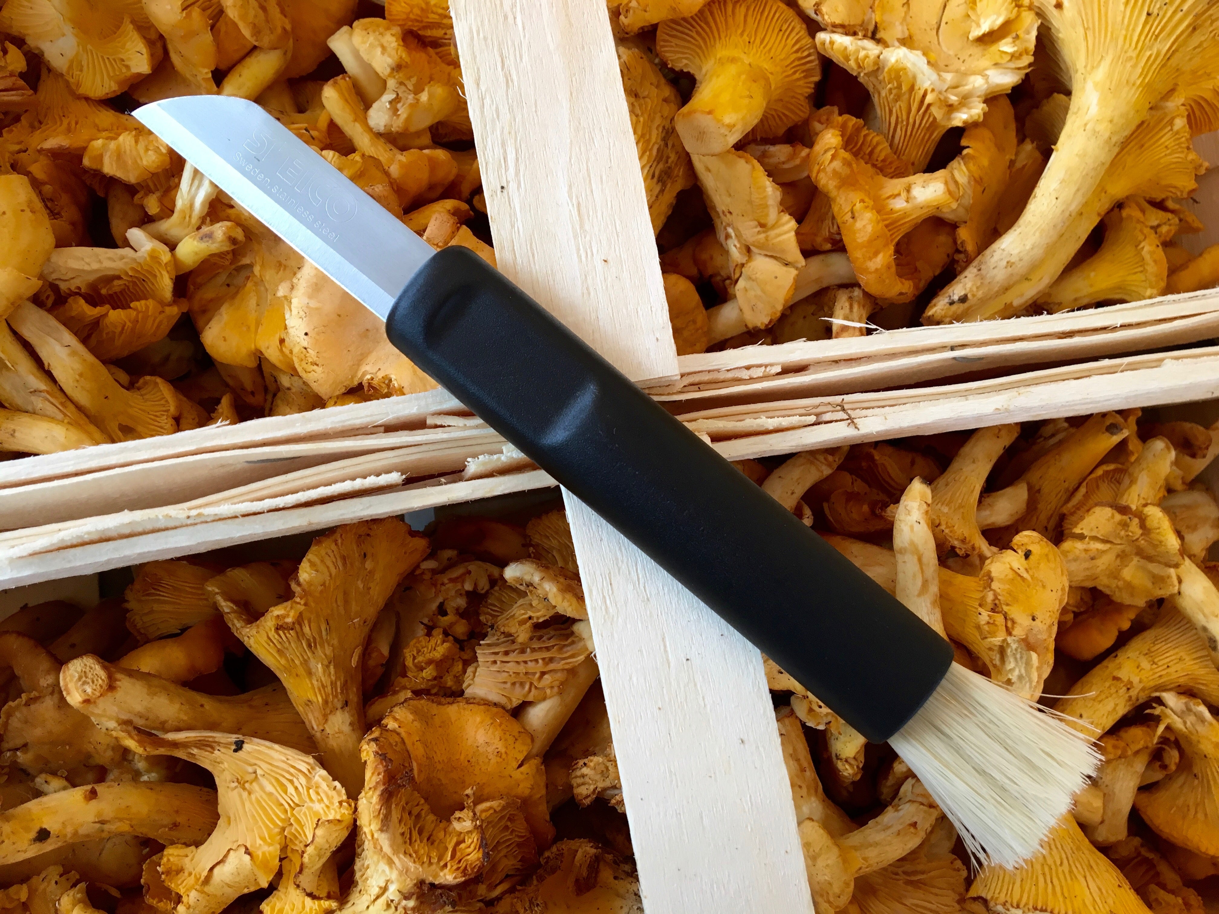 Gastromax Mushroom Knife